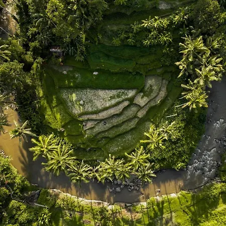 The Ridge Bali Villa Ubud  Exterior photo